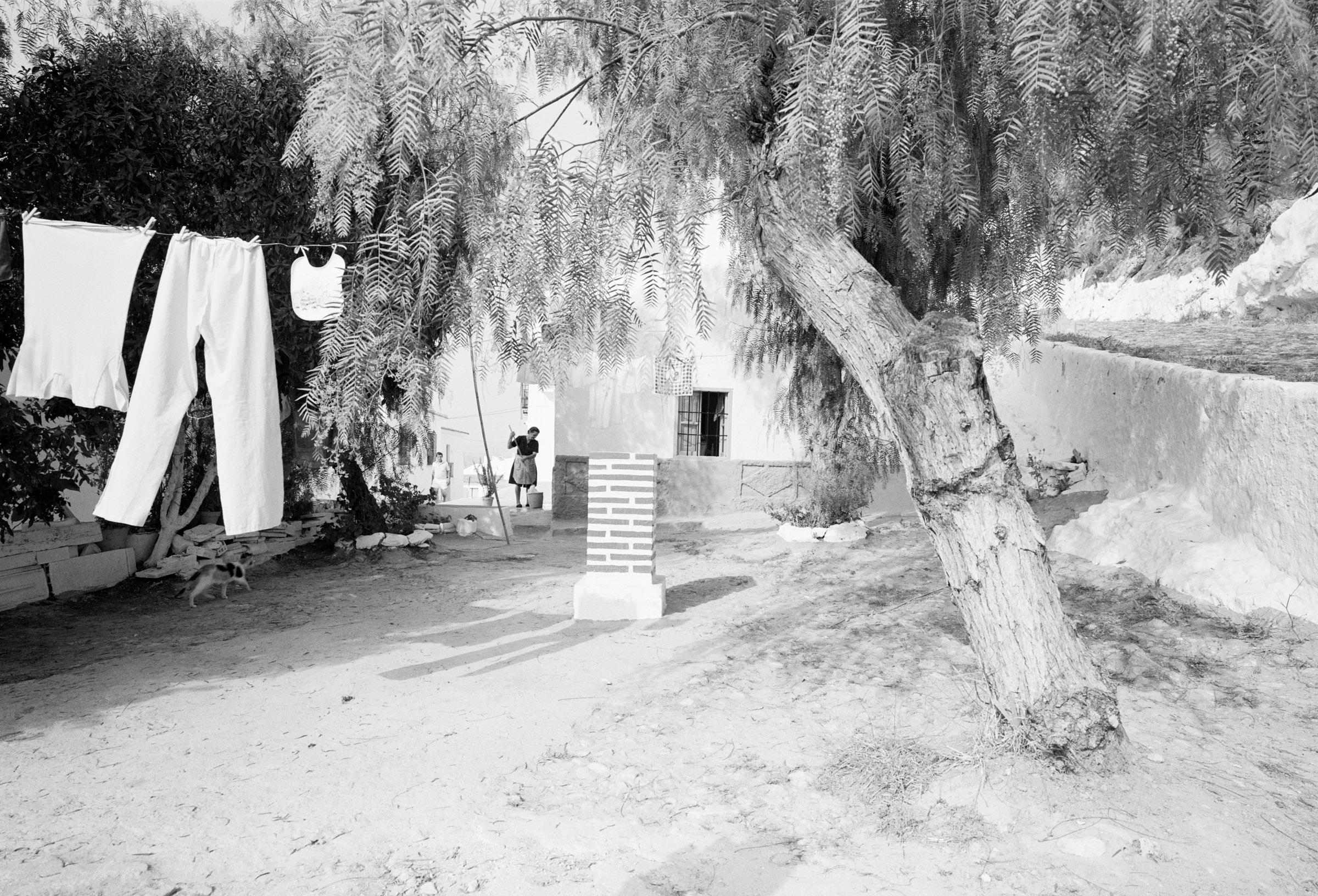 Lady in Spain photograph